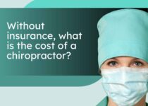 Without insurance, what is the cost of a chiropractor?