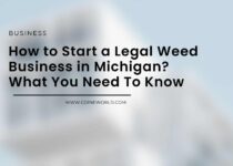 How to Start a Legal Weed Business in Michigan? What You Need To Know